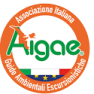 Logo AIGAE